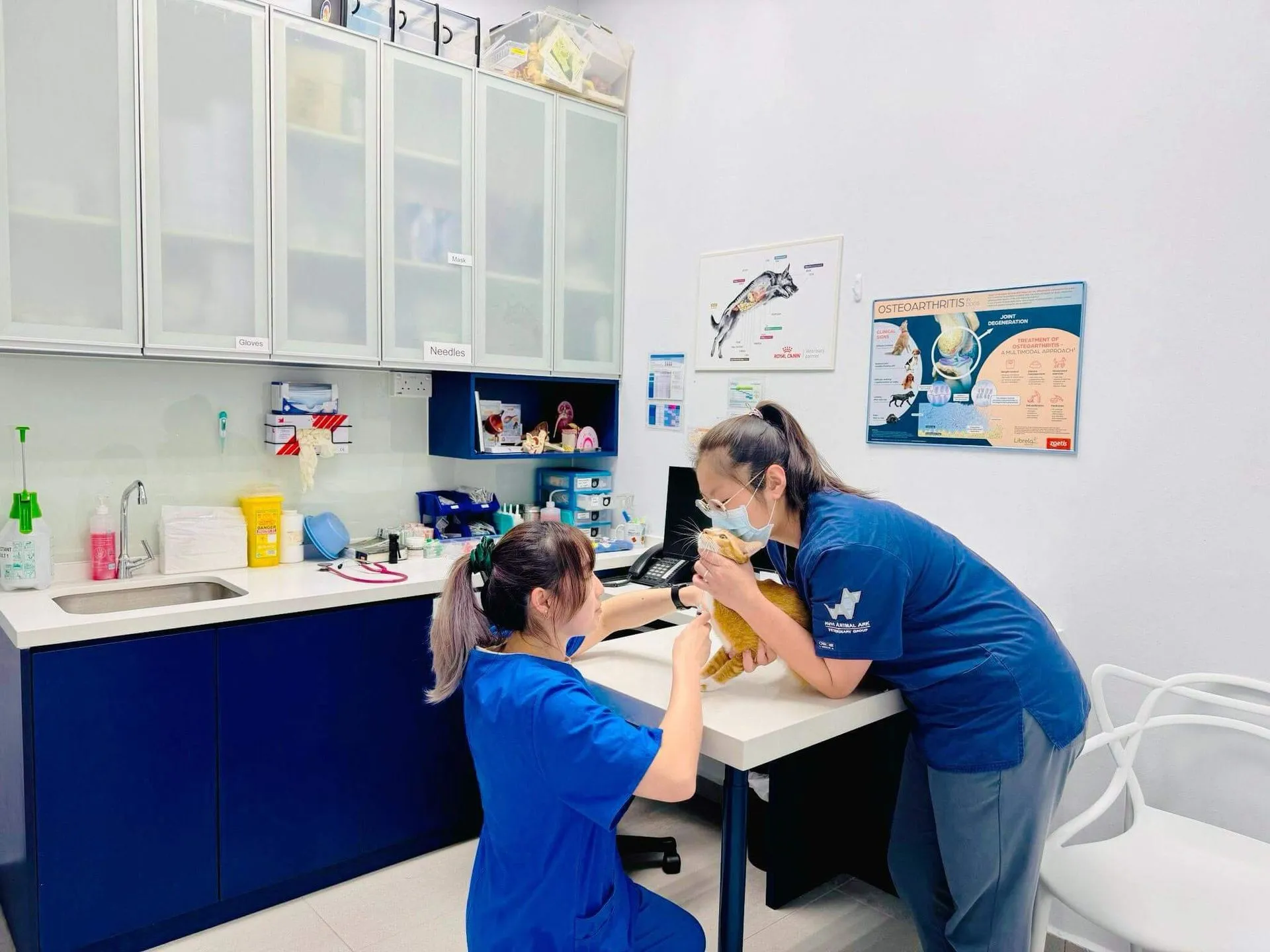 Laboratory Services & General Medicine