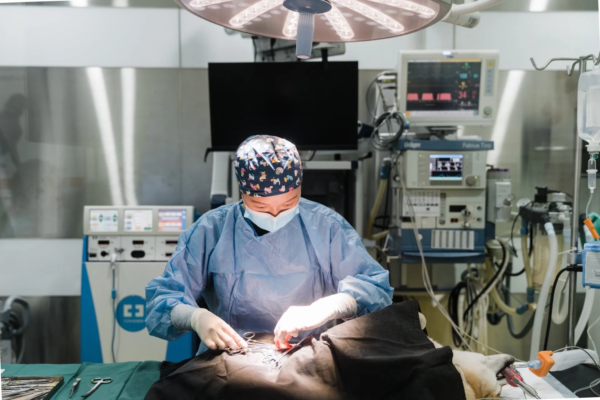 Soft Tissue Surgery & Routine Sterilisation
