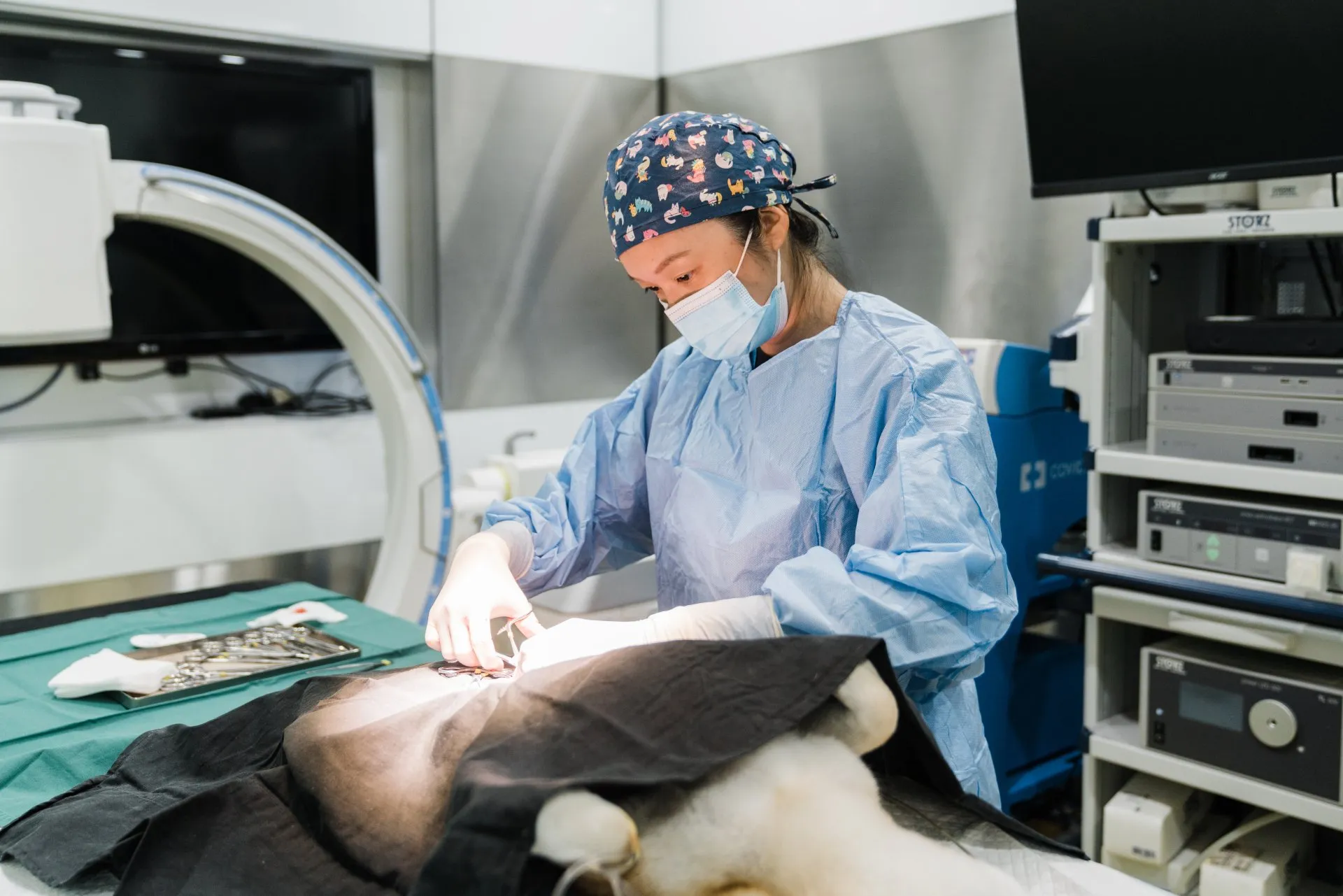 When Should You Spay or Neuter Your Dog?