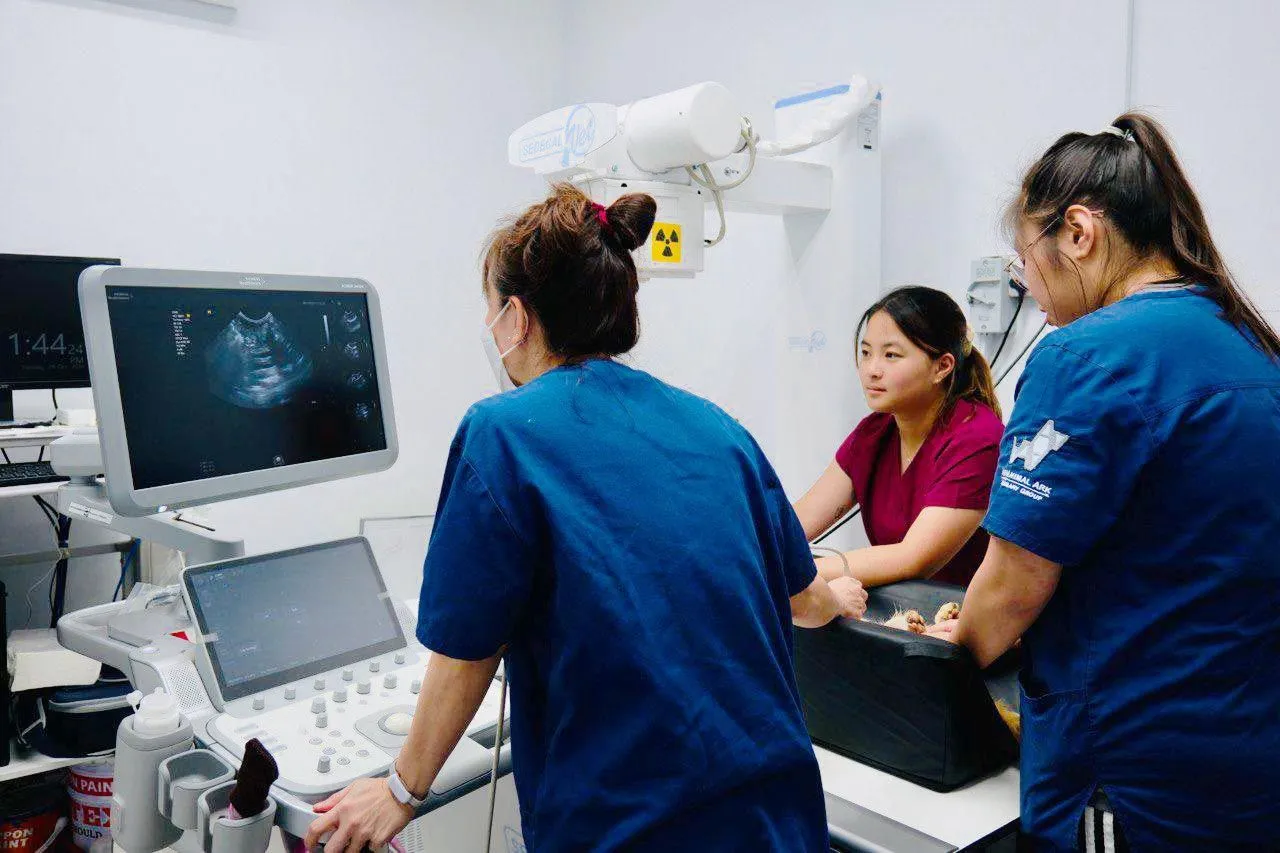 Ultrasound